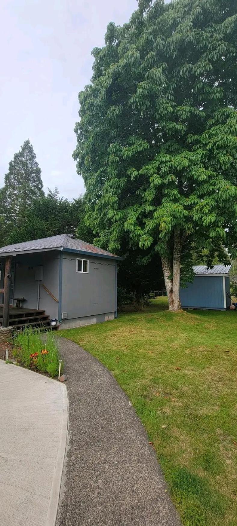 The Bunkhouse Motel Nehalem Exterior foto